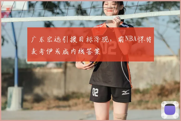 广东宏远引援目标浮现，前NBA悍将麦考伊或成内线答案